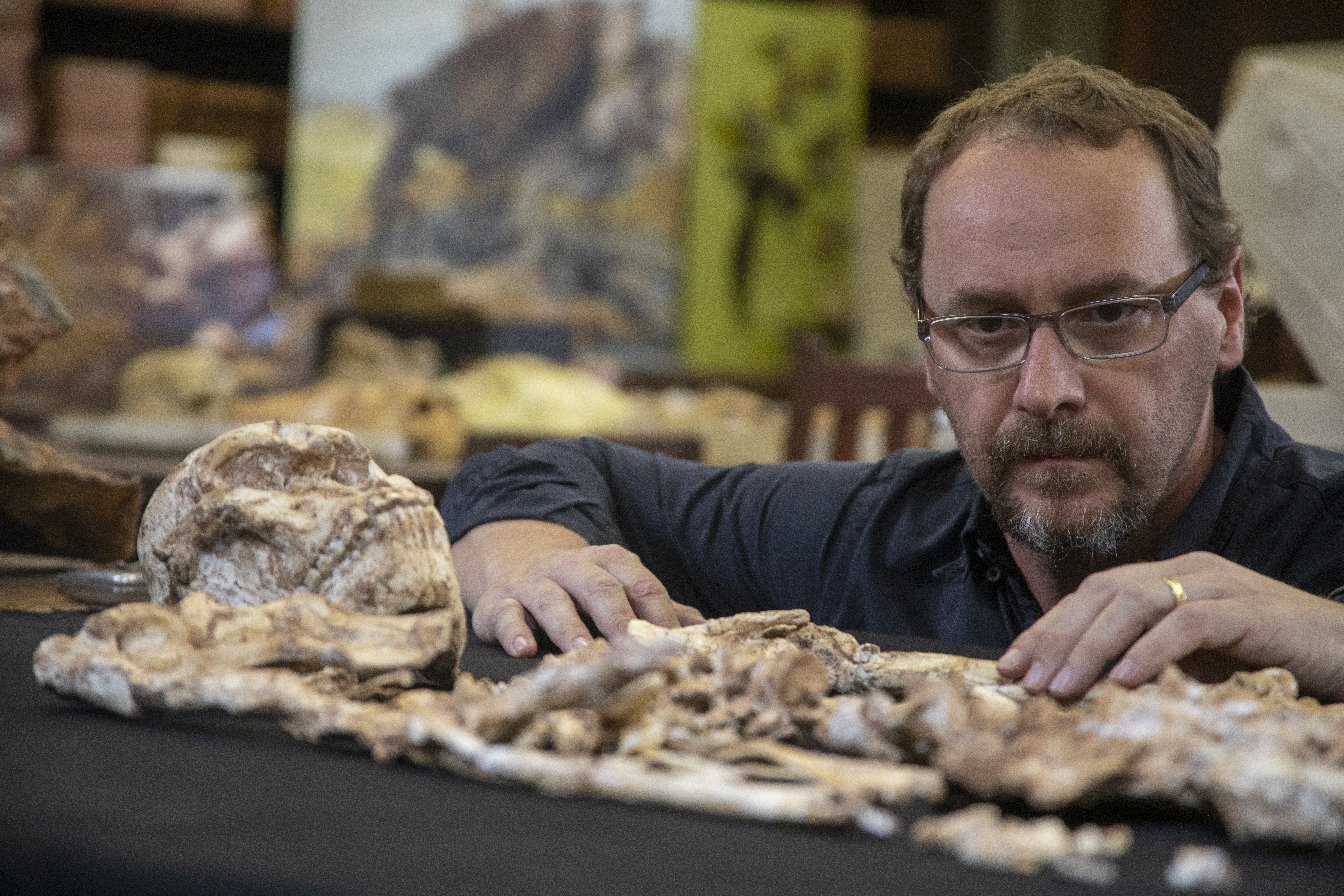 Uncovering Little Foot