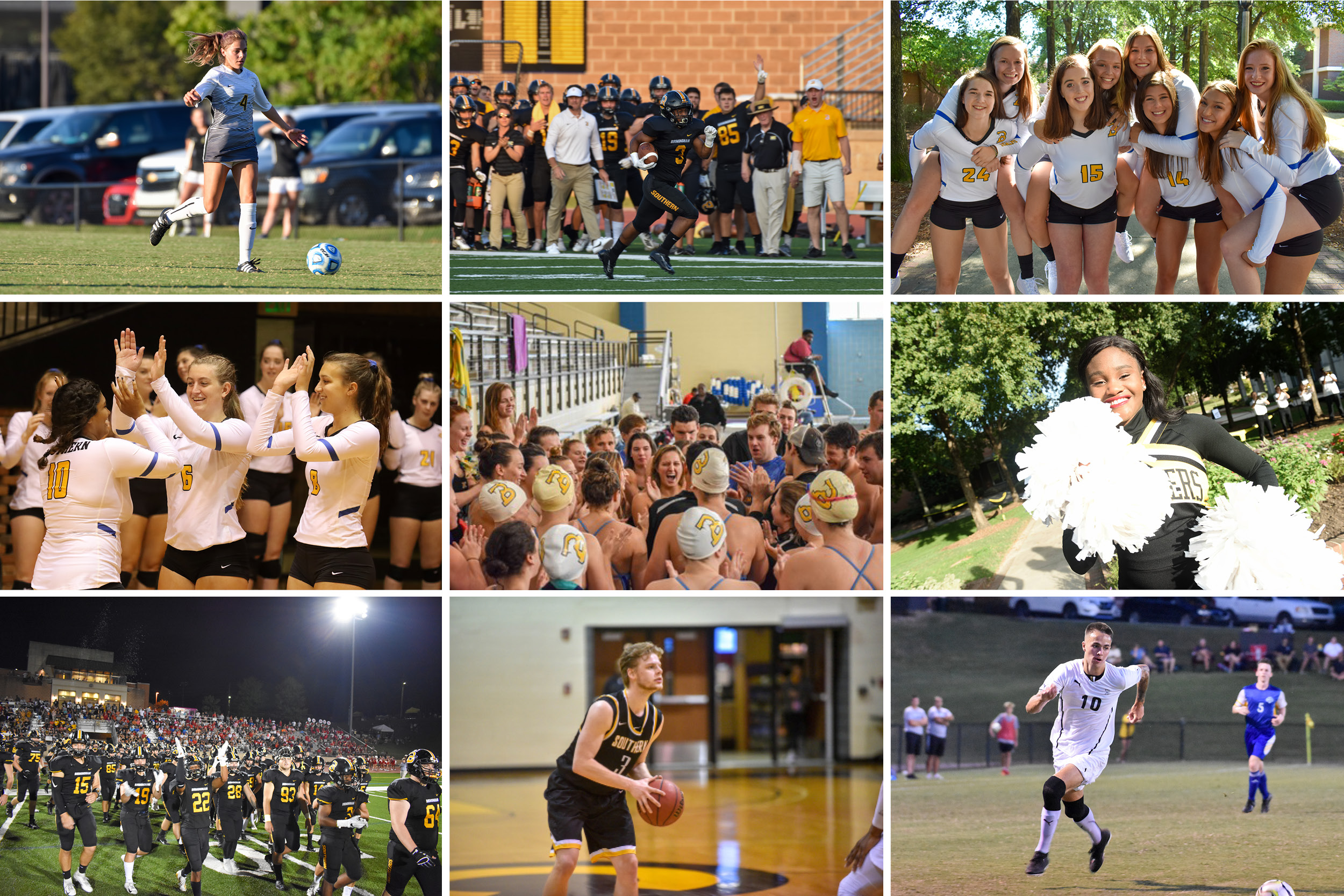 BSC Athletics: Nov. 2019