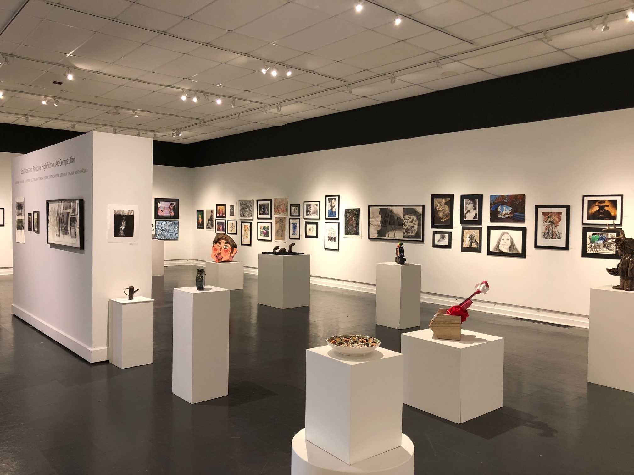 2020 Biennial Southeastern Art Competition Winners