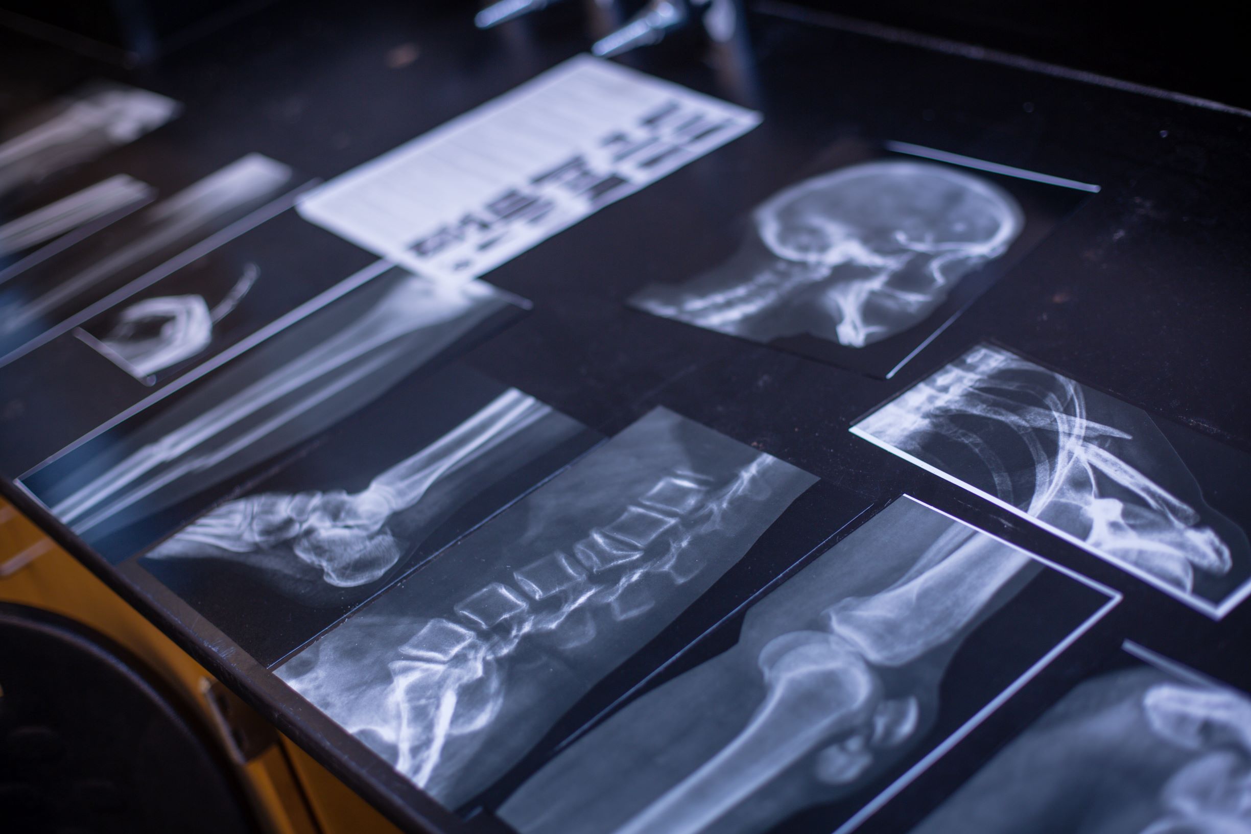Experiential Learning in BSC’s Cadaver Lab