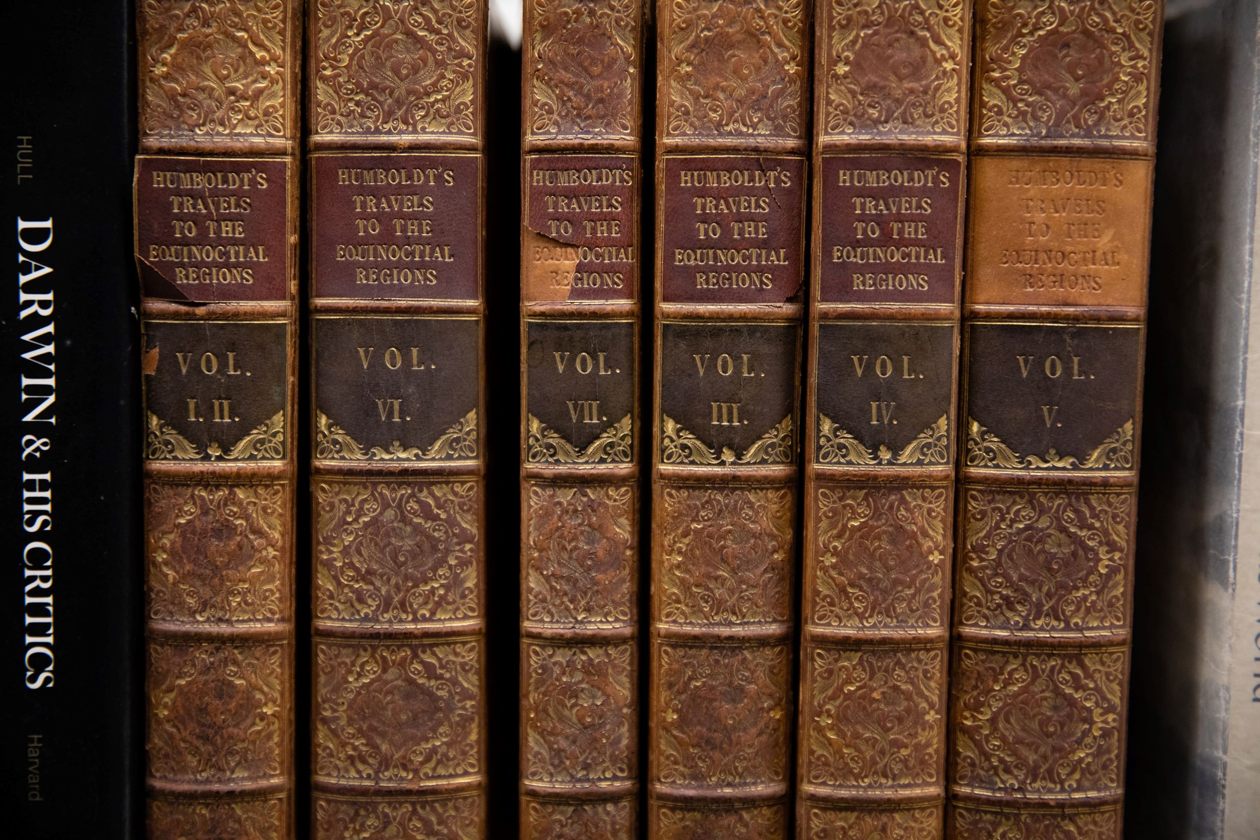Tom Carruthers Darwin Collection