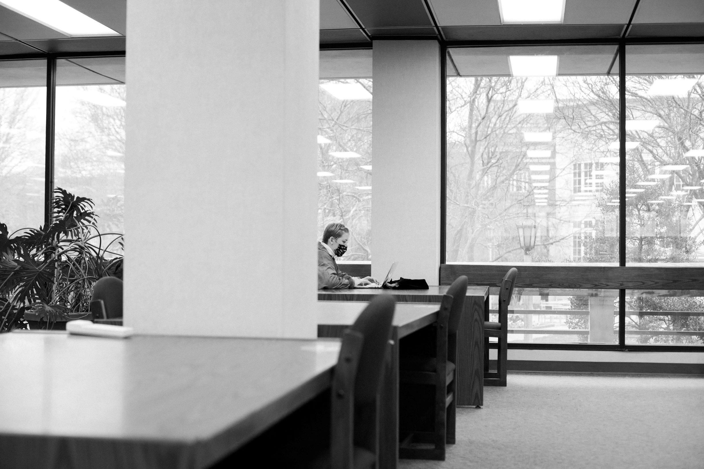 Honors Day 2021: Library Awards