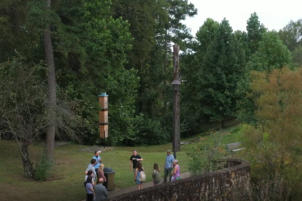 Our Very Own Chimney Swift Towers